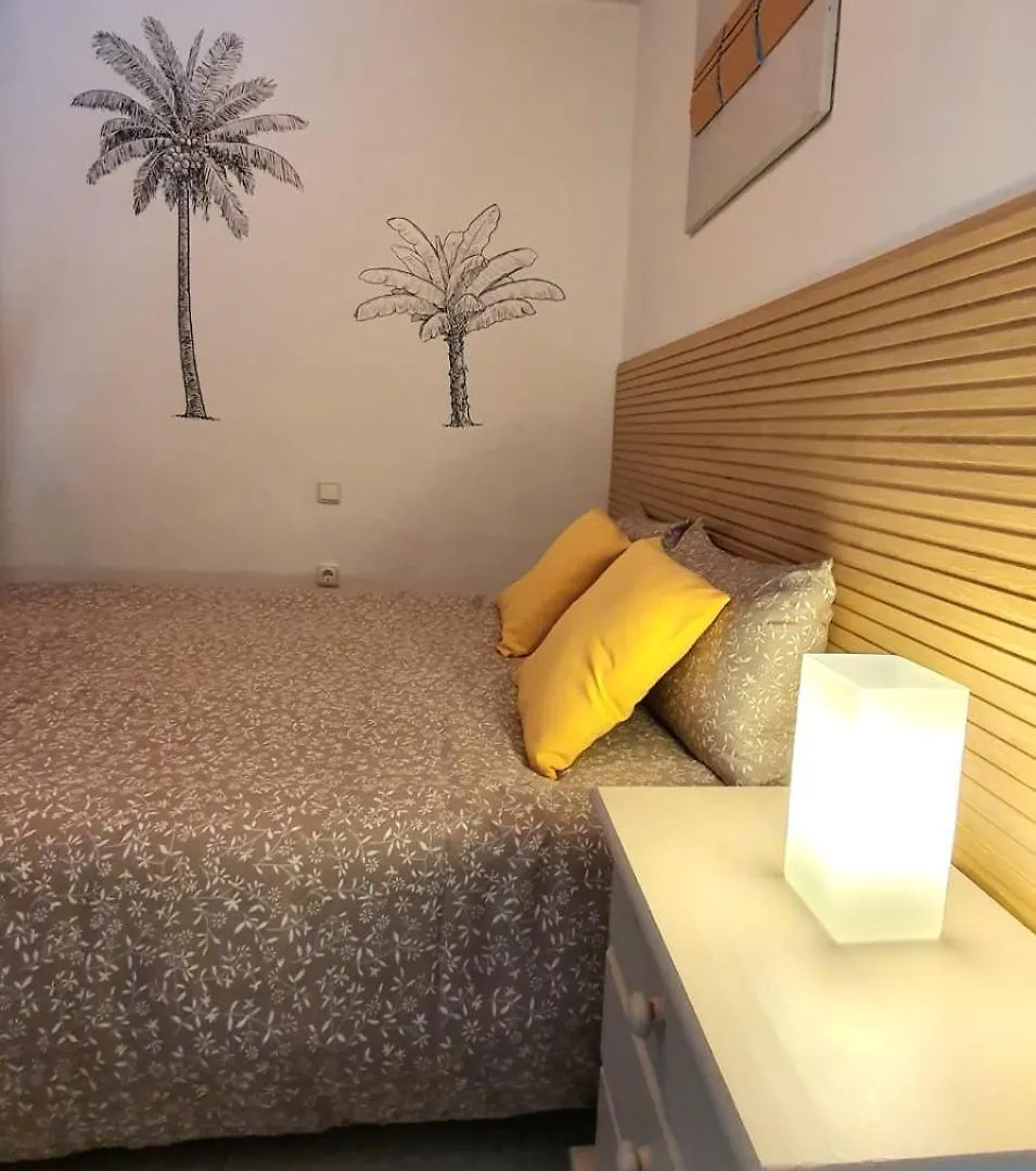 Cocohomes Duplex El Medano El Médano